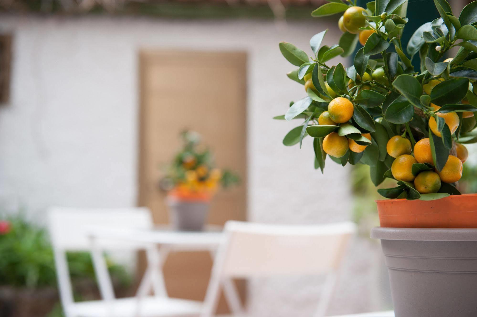 Piccarda Bed And Breakfast Florenţa Exterior foto